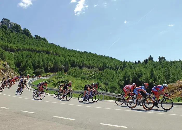 Apartament Put Zuke Croatia Makarska